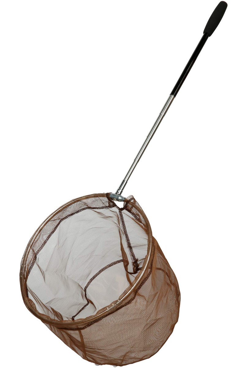 RESTCLOUD Bait Net and Fishing Landing Net with Telescoping Pole Handle Extends to 59 inches (Brown) - Image 2